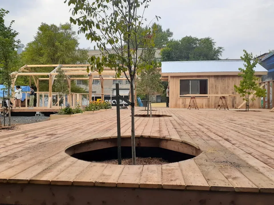 Platelage de bois public percé d'ouvertures autour de jeunes arbres, chaque tronc sortant du plancher